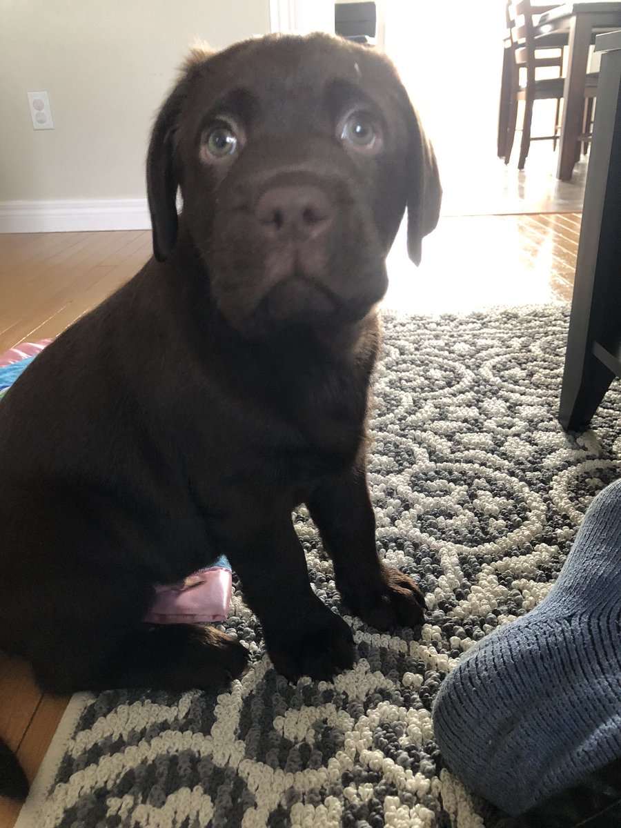 Beau!!