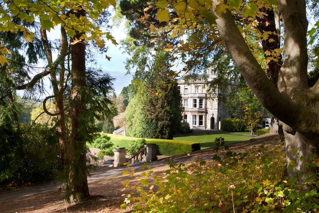 ExeterMedCPD's tweet photo. We have booked the beautiful #ReedHall for our Principles of Health Protection course in February & March 2020. BOOK NOW https://t.co/NazXlxkQWp (If youβre lucky you might even see the odd daffodil or wild rabbit in the grounds!) https://t.co/wOLaBHHN4J