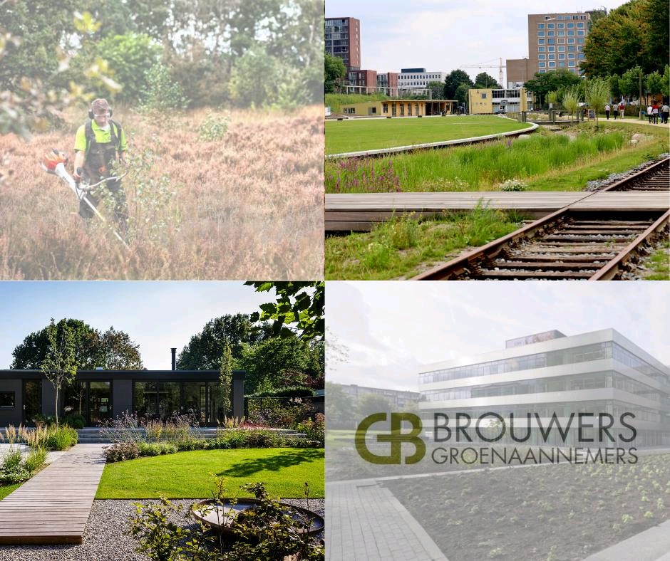 V A C A T U R E | Ben je iemand die graag buiten aan het werk is? Heb je daarnaast ook nog enkele jaren ervaring in een soortgelijke functie? Solliciteer dan op de vacature van MEDEWERKER GROENVOORZIENING (m/v) bij Brouwers Groenaannemers: brouwersgroenaannemers.nl/vacatures/vaca…
#vacature