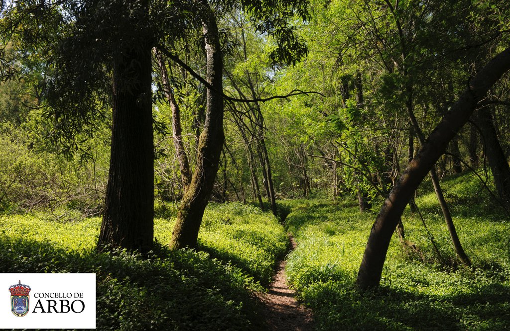 ArboConcello's tweet photo. #Seguimos de #ruta, el #sol nos #acompaña en esta #mañana de #festivo!!!
We #follow the #route, the #sun #accompanies us on this #holiday morning !!! 🚶☀️🌻🏵️🌼
@Turvegal @Turgalicia @DescubreCadaDia @SecretGalicia @loves_galicia @guiasdegalicia @GaliciaMaxica @Galicia_Mola https://t.co/vnXyzJH96L