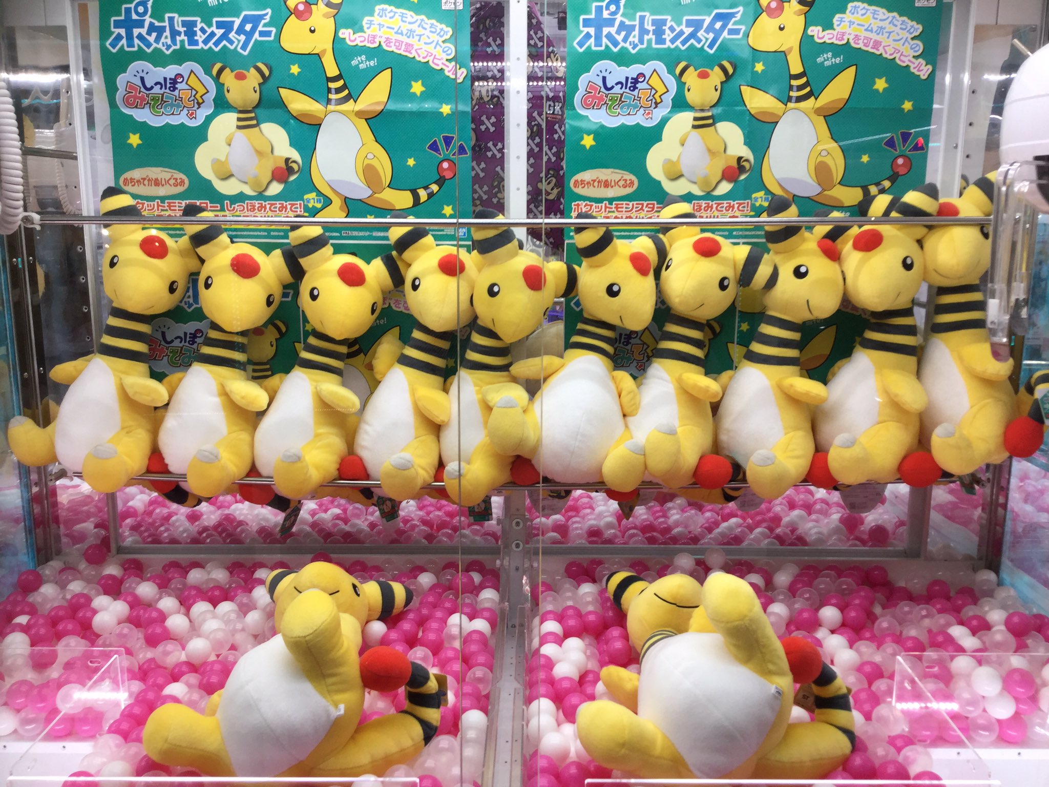 セガ水沢 お待たせしました ポケットモンスターから大きいデンリュウのぬいぐるみが入荷です 今回はしっぽをアピールした姿になっています 可愛いですね ポケットモンスター デンリュウ プライズ ぬいぐるみ T Co Zvjy6acttj Twitter