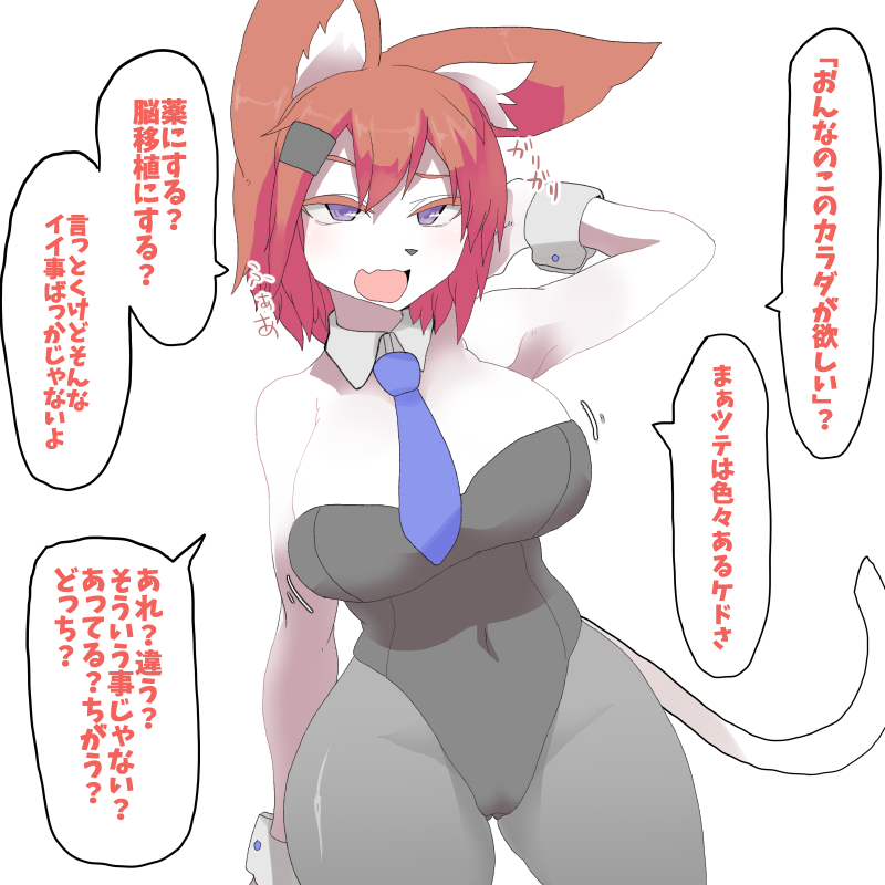 #2019年自分が選ぶ今年の4枚
TSFとTFの民 