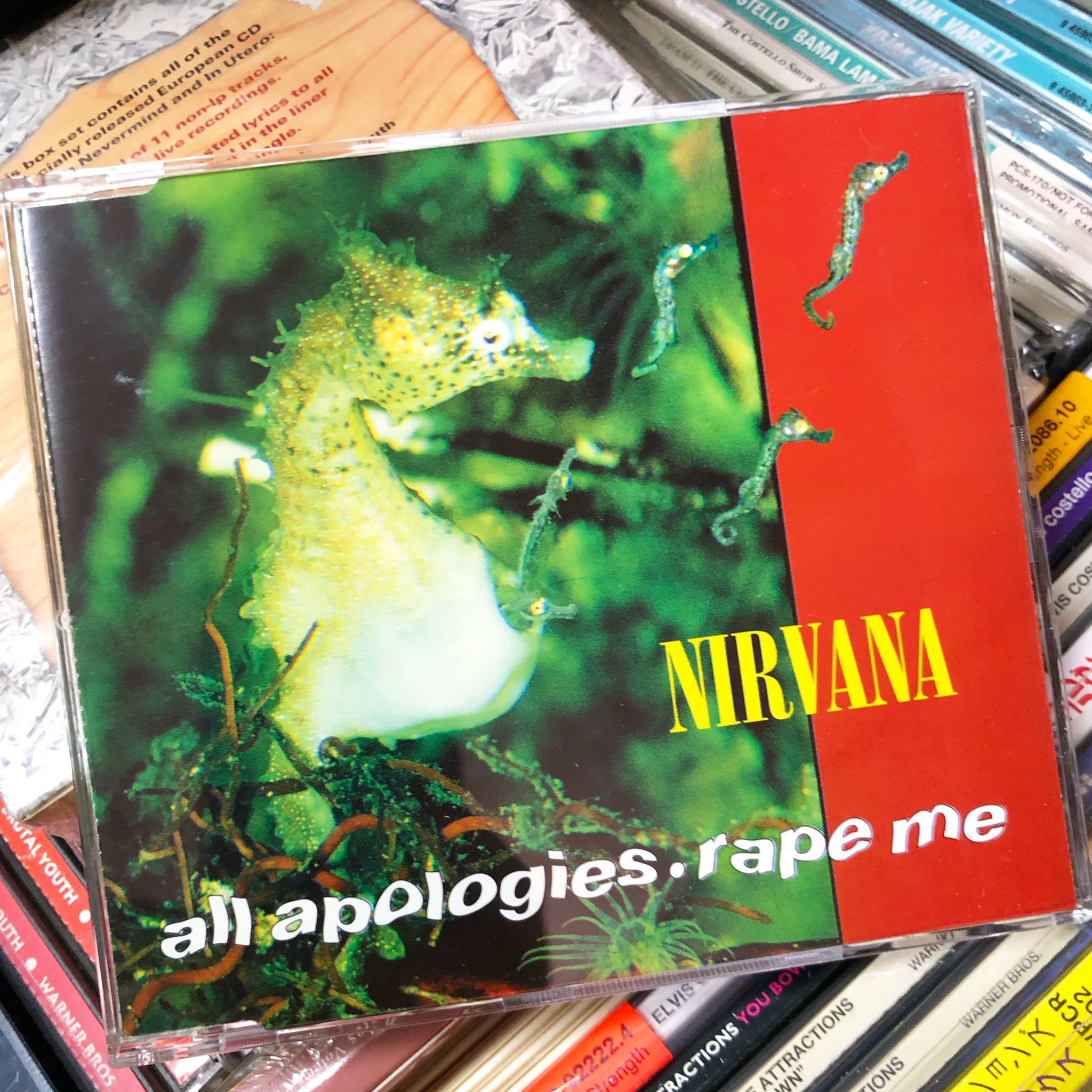 Nirvana – Rape Me Lyrics