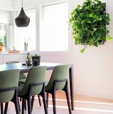 skogluft's tweet photo. Bring Skogluft - "Forest Air" into your home on these December days.
Use code: GREEN to receive 10% of your Skogluft wall.
https://t.co/CylDFBjFyO
.
#peaceofmind #skogluft #interiordesign #wellbeing #biophilicdesign #livingwithplants https://t.co/Mgk4n83NWd
