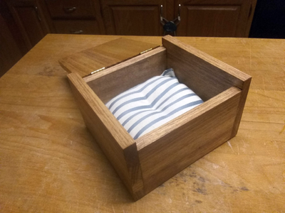 firewouldburn's tweet photo. I'm expecting a visit from the Tooth Fairy before long, and there's no way I'm rooting under a pillow at midnight. So wooden box and a wee pillow instead. https://t.co/WMhk6M0Rpd
