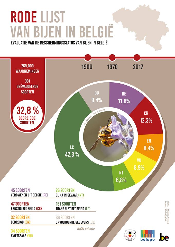 Voor het eerst is volgens IUCN criteria een Rode lijst voor de  wilde #bijen voorkomend in België opgesteld. Een groot deel soorten is bedreigd of reeds uitgestorven. Tijd om soortbescherming te formaliseren.

Volledig verslag op bit.ly/RodeLijstBelgi…