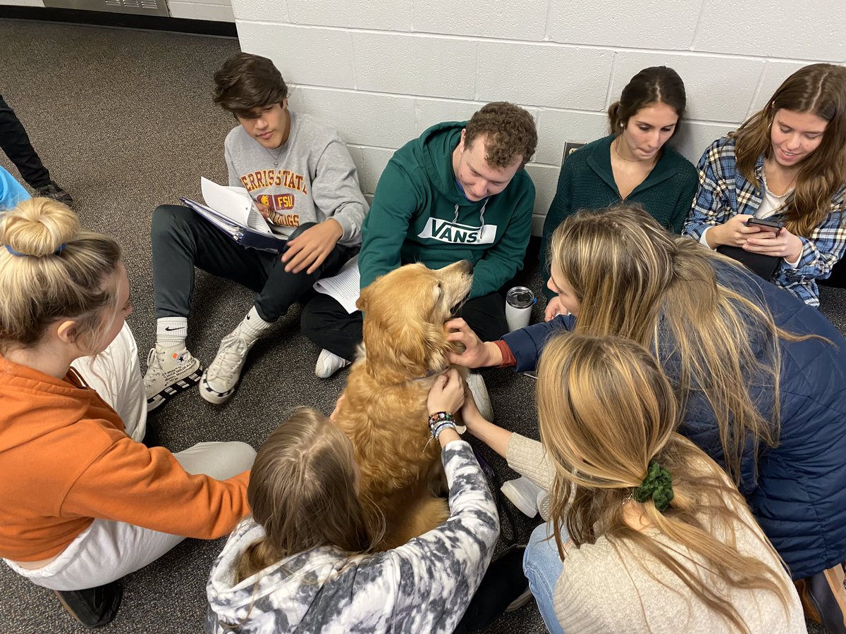principalwedge's tweet photo. Therapy dogs bring us all closer together. https://t.co/1Kc1Vv7o99