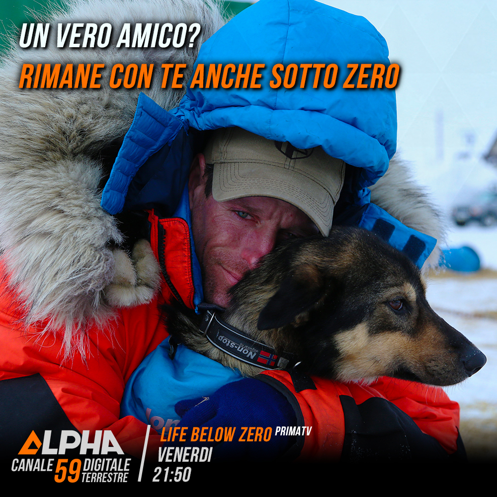 alpha59official's tweet photo. Quando rimane accanto a te anche decine di gradi sotto lo zero, tienitelo stretto, letteralmente. #LifeBelowZero torna con un nuovo episodio della sesta stagione in #PrimaTV su #Alpha59 alle 21.50! https://t.co/j92J3u8cQ9