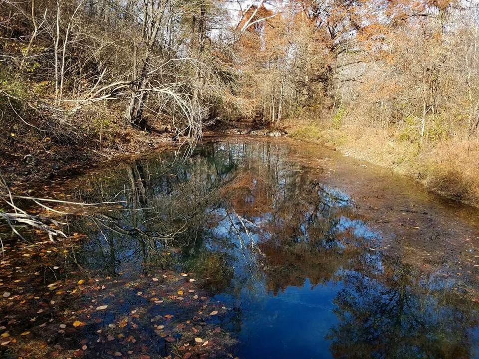 MO Backroads Adventures tweet media