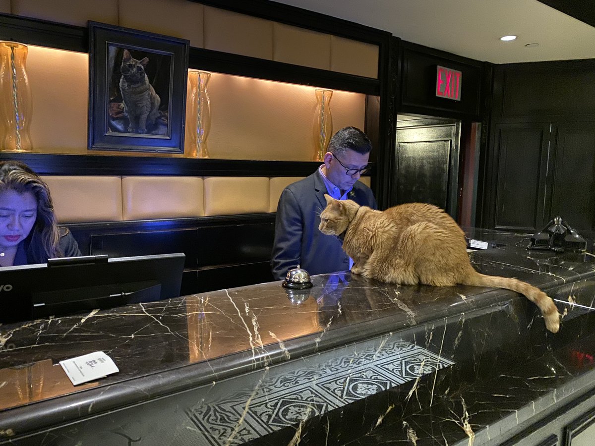 Keith Norbie tweet media