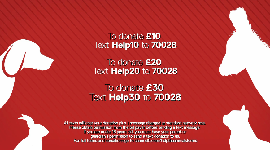 Ahead of tonight’s #HelpTheAnimals here are those all important details. 

A reminder that we're raising for  <a href="/wildlifeaid/">Wildlife Aid</a>, <a href="/The_Blue_Cross/">Blue Cross UK</a>, <a href="/DonkeySanctuary/">The Donkey Sanctuary</a>, <a href="/RSPCA_official/">RSPCA (England & Wales)</a> and <a href="/ScottishSPCA/">Scottish SPCA 🐾</a>. 

See you soon on <a href="/channel5_tv/">Channel 5</a>.