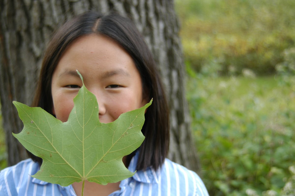 eeinwi's tweet photo. Don't miss this gift of funding from @WisConservation to take learning #outside! How could you help students #ConnectExploreEngage with $500? Due 12/31 #environmentaleducation #Grants #place https://t.co/oWflm6EEFP https://t.co/FEO0yGOJ4C