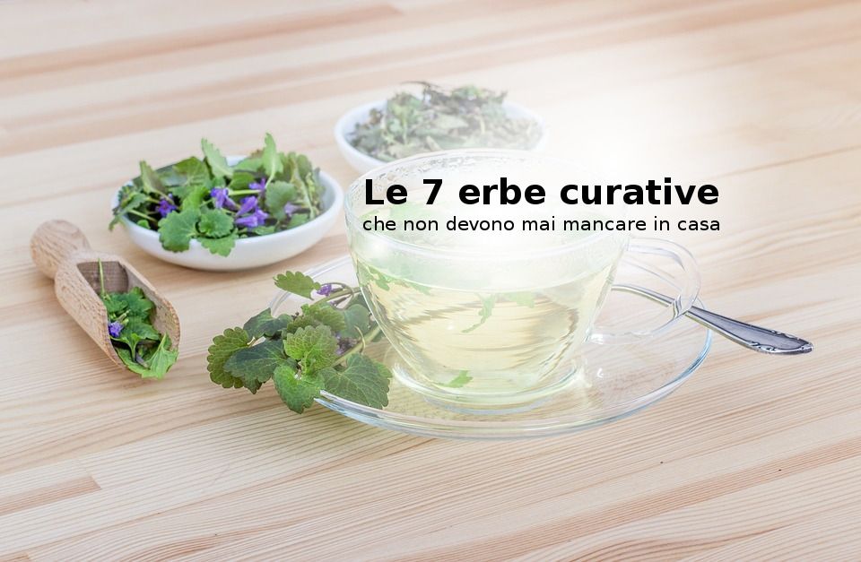 cPesoForma's tweet photo. Le migliori 7 piante curative #CuraDelCorpo #ErbeOfficinali #RimediNaturali
 https://t.co/gXPB7wvAgU https://t.co/dcKrbctGLm