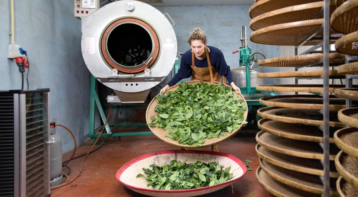 De provincie stelt opnieuw ca € 1,3 miljoen beschikbaar om de subsidie Economie &amp; Innovatie in 2020 te continueren. Ondernemers kunnen dit inzetten voor bijvoorbeeld een business case, prototype of pilot. bit.ly/2OSRSC5