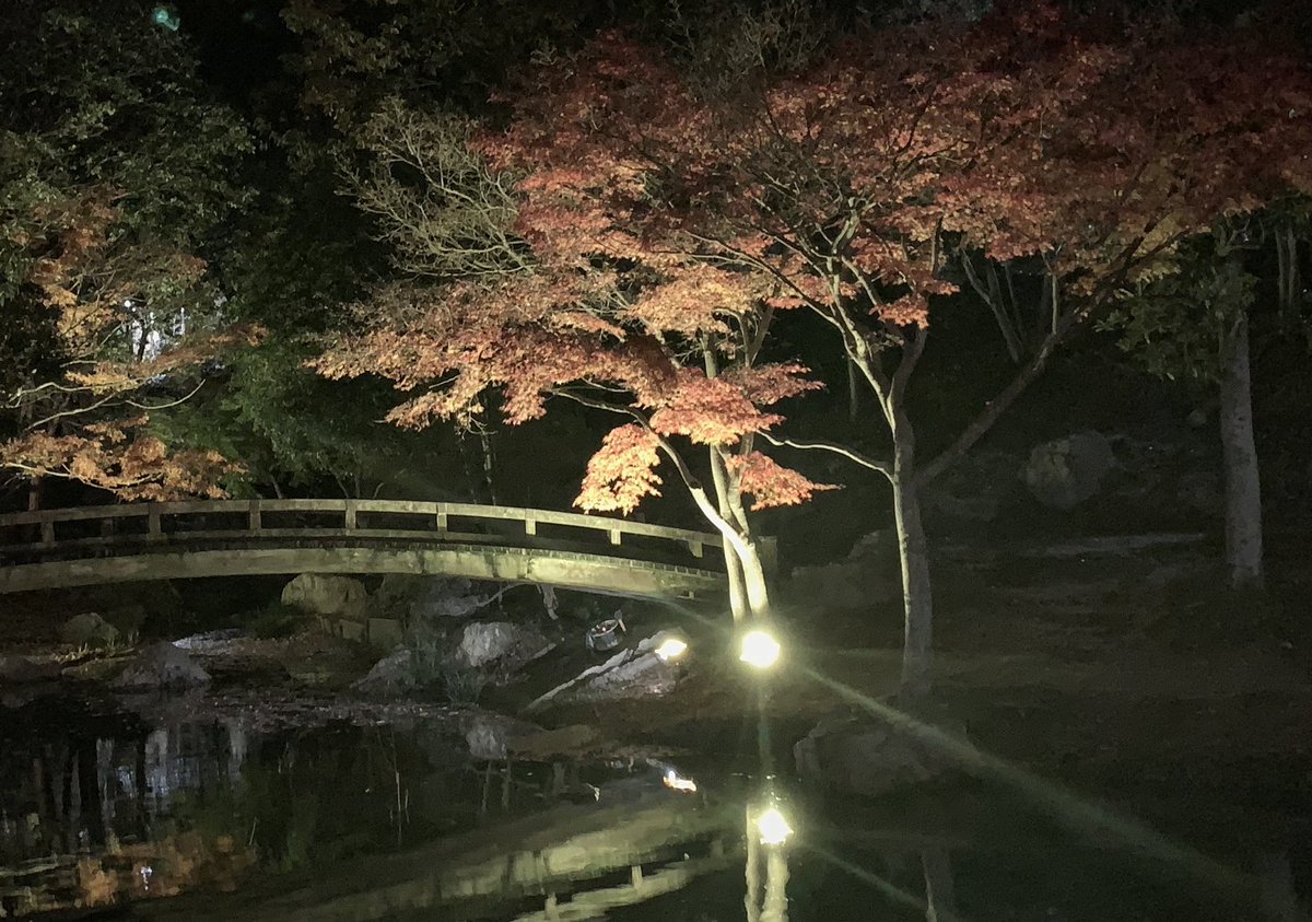 浜松市美術館 Sur Twitter 浜松城公園もみじライトアップは８日 日 まで 写真は先程撮影したものです 寒いですので暖かい服装で スタバの裏ですょー 浜松城公園 紅葉 ライトアップ スタバ裏 T Co Udonn6hggw