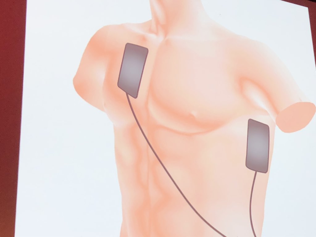 Caroline Leech tweet media