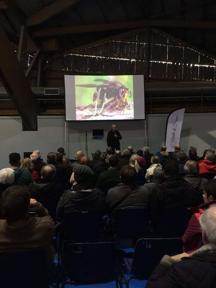 AbeilleDeFrance's tweet image. #Simapi, #Vespa velutina et Denis Jaffré, pour une destruction écologique et respectueuse de l’environnement.