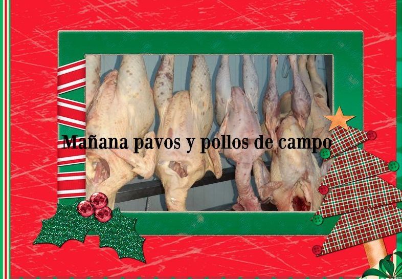 Dehesa Alburquerque (@dehesaalburque1) on Twitter photo MAÑANA PAVOS & POLLOS DE CAMPO (Si te ha gustado con compartelo😉) MAÑANA PAVOS & POLLOS DE CAMPO (Si te ha gustado con compartelo😉)