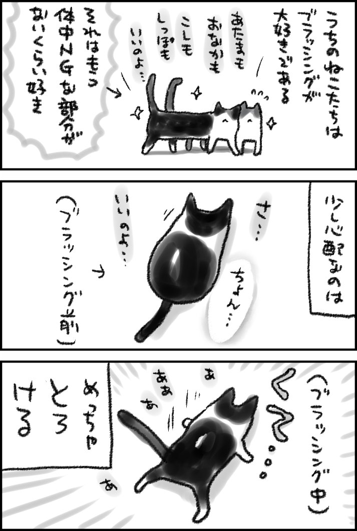 ブラッシングとねこ 