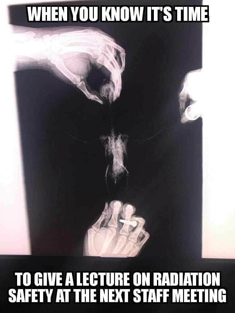 DirtyTruthVet's tweet photo. Lol all the bad here! #vetlife #dirtytruthvet #rads #xrayproblems #collimate #nohands #bad #smh #training #bird #FridayMorning #FridayFunDay https://t.co/pn7xNBwZC3