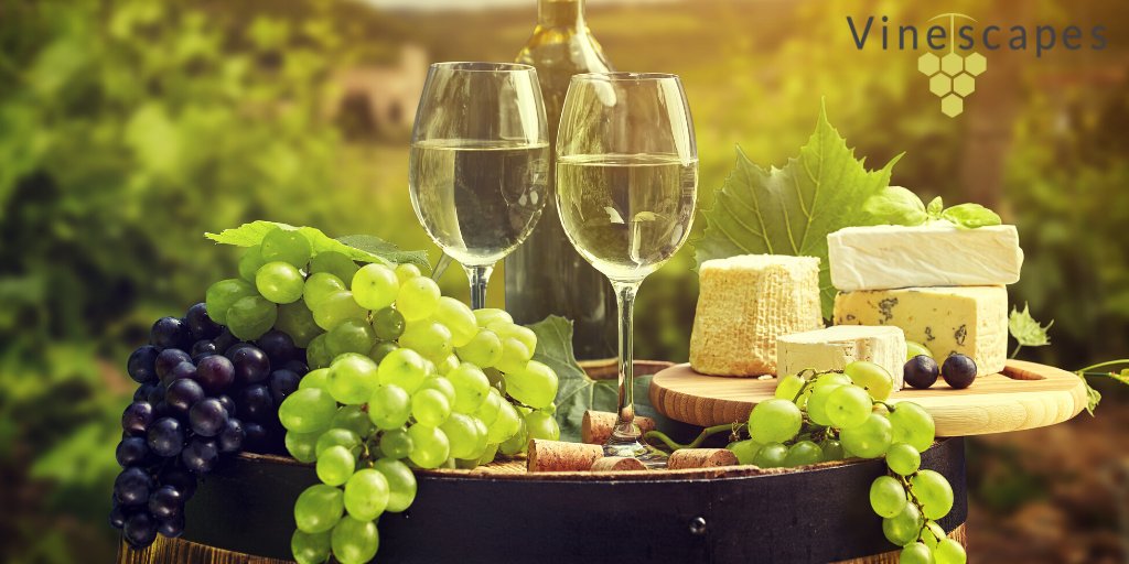What are you dreaming of this Christmas?🎄

If you're dreaming of an English #vineyard, #winery or both? We Can help!

From concept to delivery we make sure your English wine business plan is fully informed, risk managed and sustainable.

Read more at Vinescapes.com 🍇