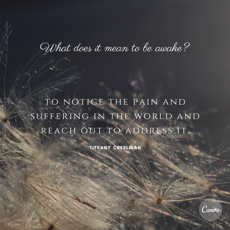 CornerstoneWC's tweet image. A few more quotes/responses from last Sunday's question "What does it mean to be awake?" #advent #seasonofawakening