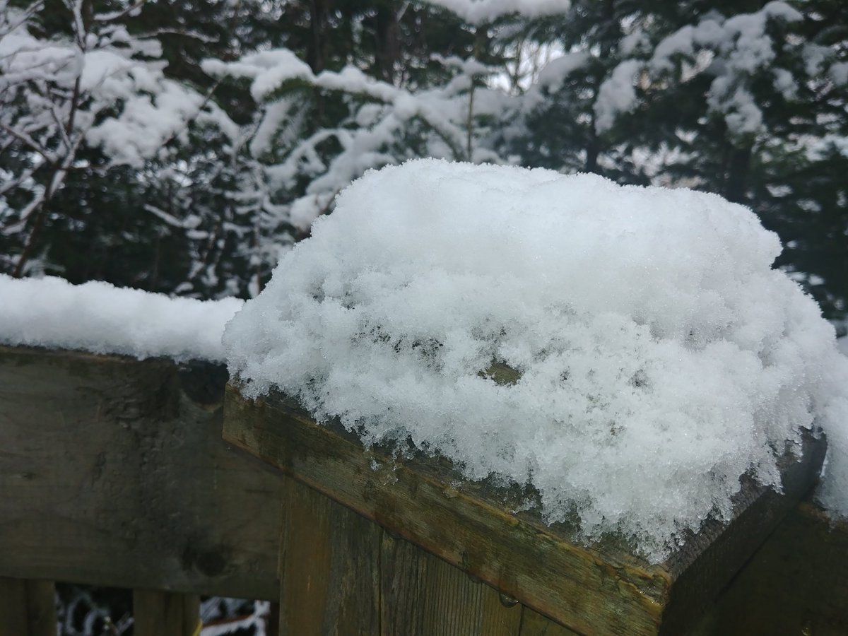 Skizee, Power Skiing tweet media