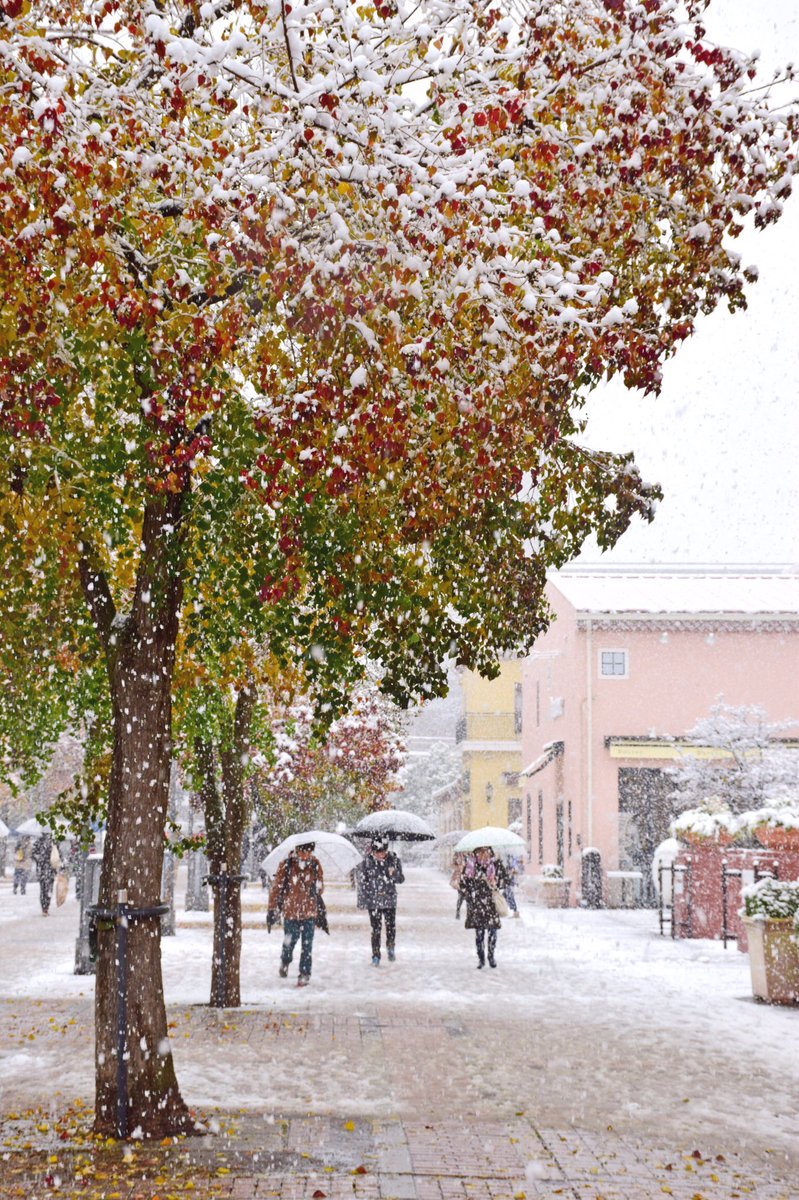 Autumnsnow Autumnsnowrw Twitter