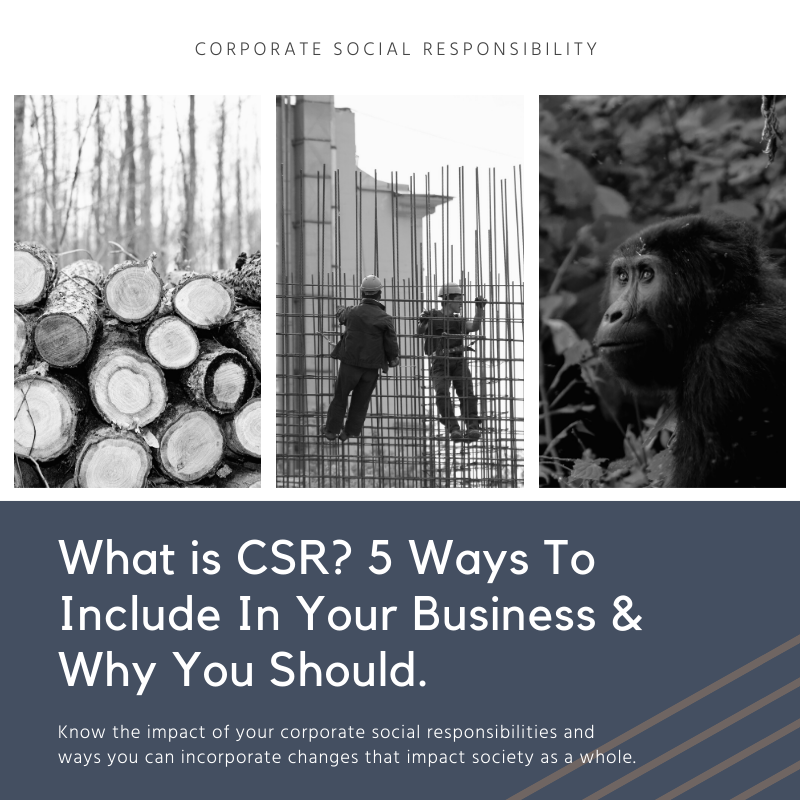 SherbertMonkies's tweet photo. How do you incorporate Corporate Social Responsibility into your business? These are our top 5 suggestions and why you should be thinking about CSR. #csr, #doingbusinessbetter #greenwebhosting via https://t.co/tNnmi1MG91 https://t.co/J7PcDJoLev