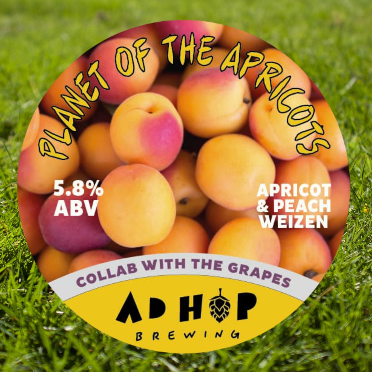 Remember one of our recent collab brews with the lovely folks at <a href="/LiverpoolGrapes/">The Grapes</a>? Well, it's all grown up!

Planet of the Apricots is soon set to be pouring (dates yet to be confirmed). If you like peaches and apricots then you're going to love this. <a href="/LiverpoolCAMRA/">Liverpool CAMRA</a> <a href="/LivBeerCo/">Liverpool Beer Collective</a>