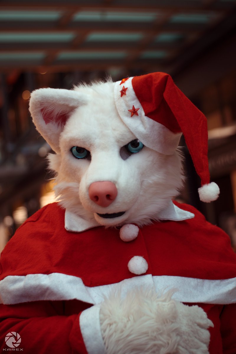 Shane_the_Wolf's tweet photo. Schรถnen Nikolaus, Happy Sinterklaas and a fantastic weekend
๐ธโ๏ธ @Karex_Wolf
#FursuitFriday @FursuitPics @FursuitPursuits @tjofursuiting @AwesomeFursuits @FursuitersWorld #SantaShane #ShantaClaus #SantaClaus #SantaClausIsComingToTown https://t.co/ufrqEAMKFh