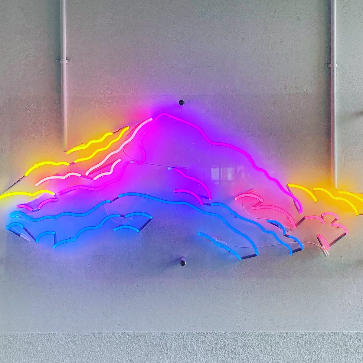 Adrián Ocel tweet media