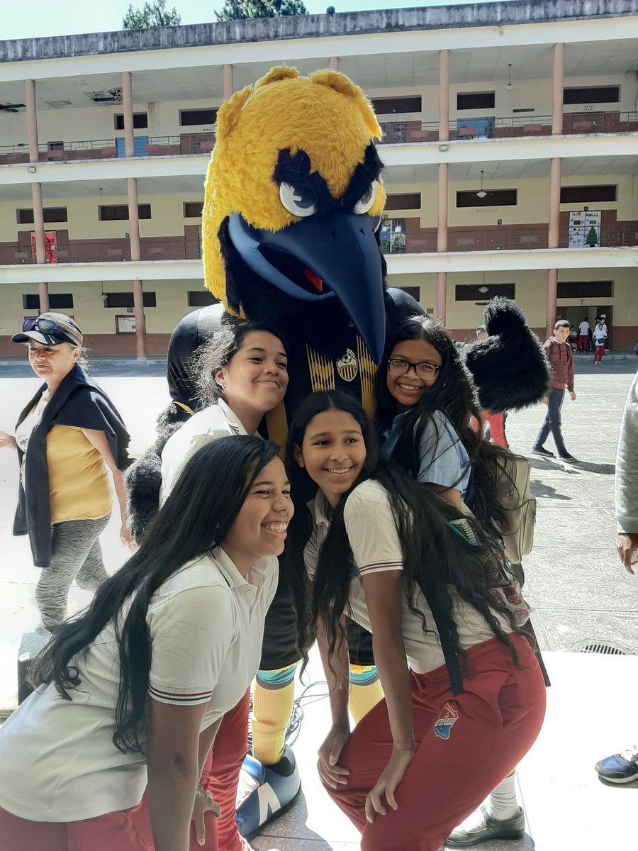 lbsimonbolivar1's tweet photo. Auri nuestra mascota del Deportivo en nuestra Institución #LBSB  #ParrandonClapTachira #amorALaVidaZETáchira @ZonaEducTachira @charlychaves https://t.co/ljp7raAMGR