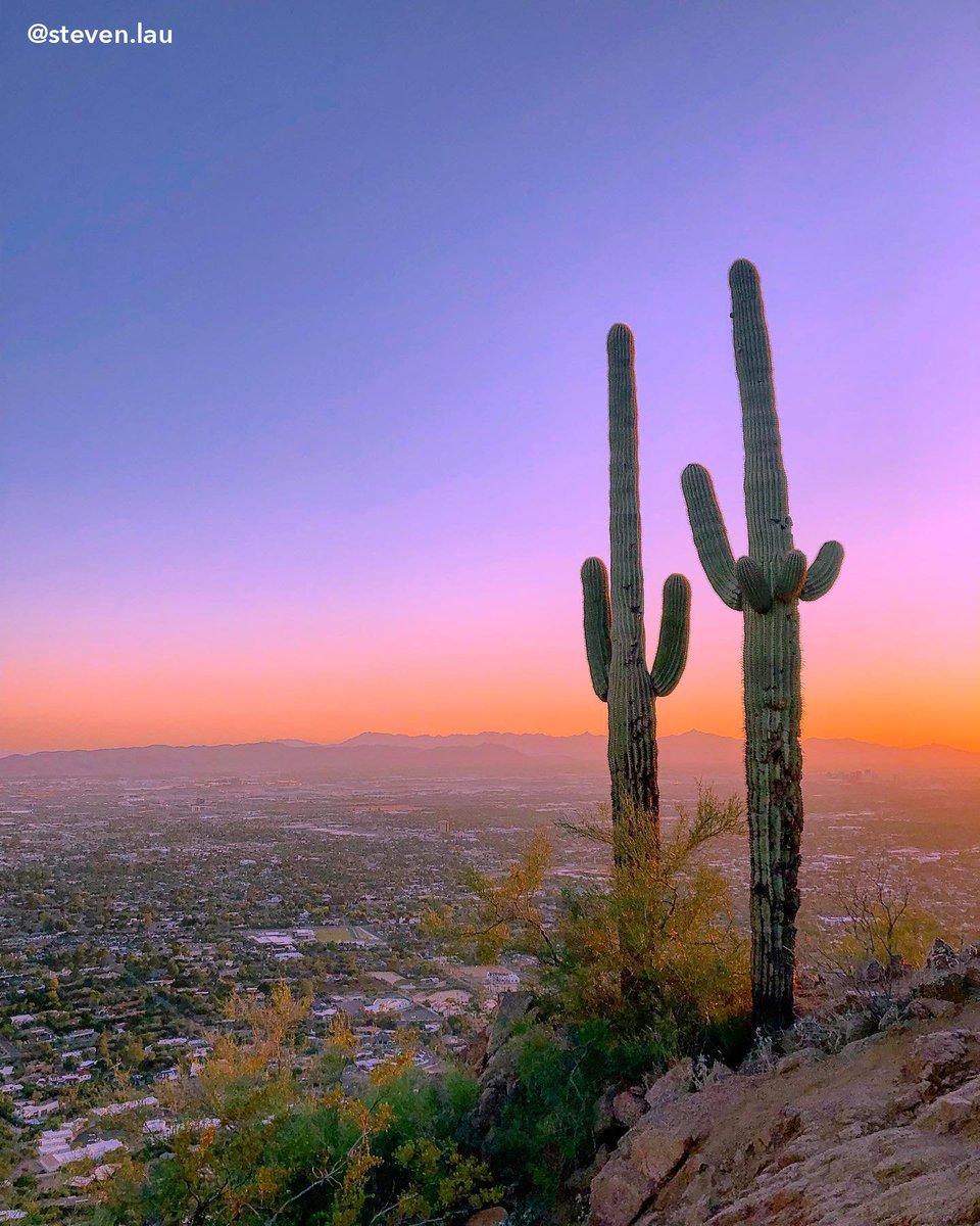 MeetPHX's tweet photo. Views like this await at #ASLMS2020 in Phoenix! April 2020 will be here before you know it, start your planning now: https://t.co/qtdb0adLoN @aslmsedu
📷: steven.lau
📍: Camelback Mountain https://t.co/9V05fk3dsB