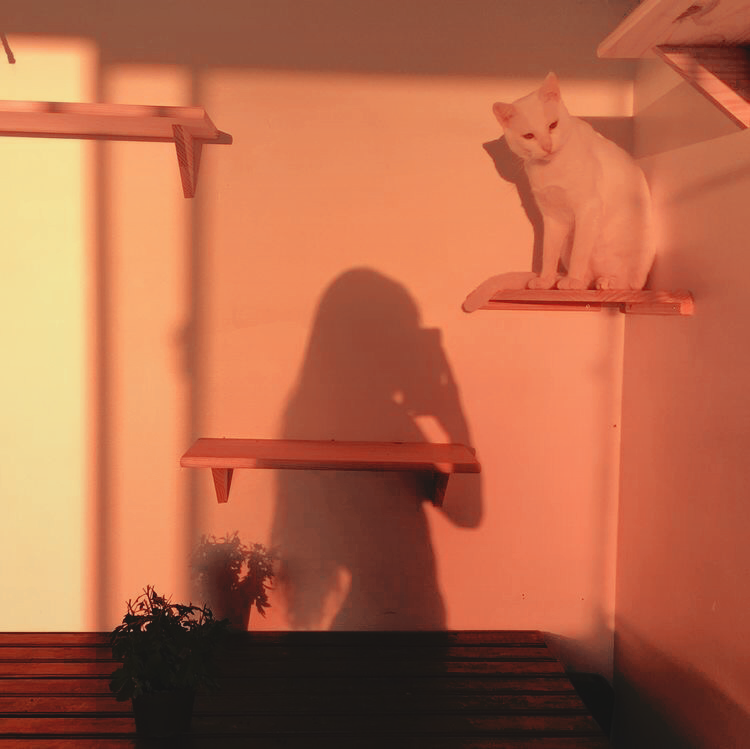 ❛━ᴛʜᴀᴛ's ᴀ ʟᴏᴛ ᴏғ ʙᴏʟʟᴏᴄᴋs, ᴍᴀᴛᴇ!❜

❏ Hermana de "Clyde"
❏ Nombre y FC a elección
❏ Carterista y ex-mecánica
❏ Irlandesa

                       ↷ʀᴛ?