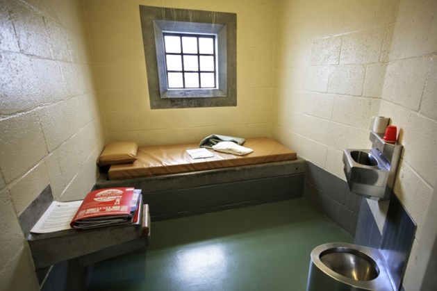 Tegen acht verdachten uit hoofdzakelijk Maastricht zijn straffen tot zeven jaar cel geëist voor tientallen delicten, waaronder een overval op een pizzeria in Amby...