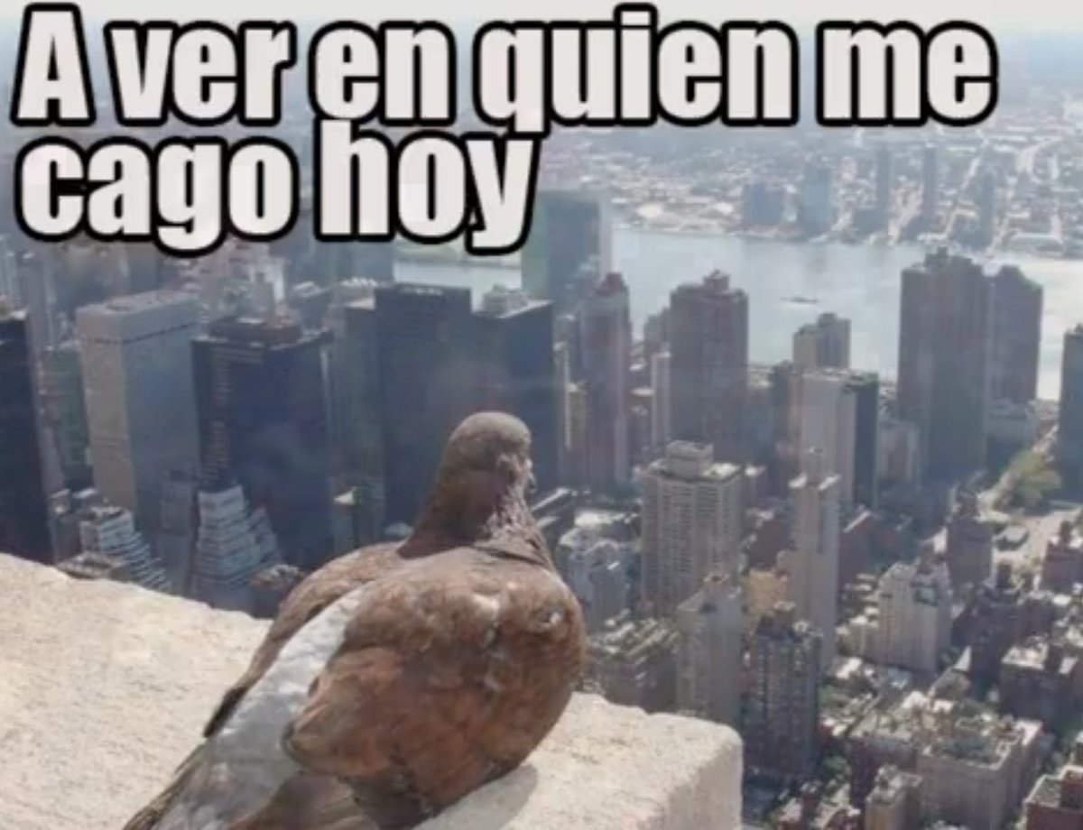 harrylandauer's tweet photo. Eres consciente que caminas muchas veces, viendo a los demás como tus enemigos o como tarros de basura, y te preguntas porqué no tienes amigos y vives amargado. Cambia tu actitud y cambia tu vida.
#BuenViernes #HumildadPara https://t.co/hMMpGkeimE