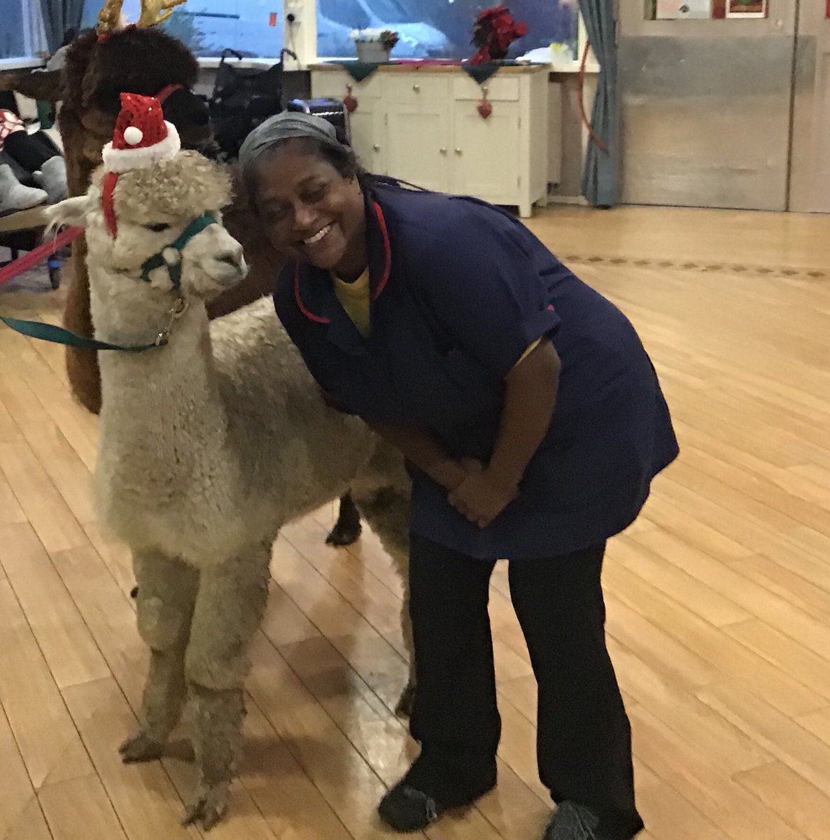 LHolehird's tweet photo. On the 5th of December we had the alpacas come and visit! All the residents and staff really enjoyed the experience and we hope to see them again...🦙🦙 https://t.co/3MrjehVUMr