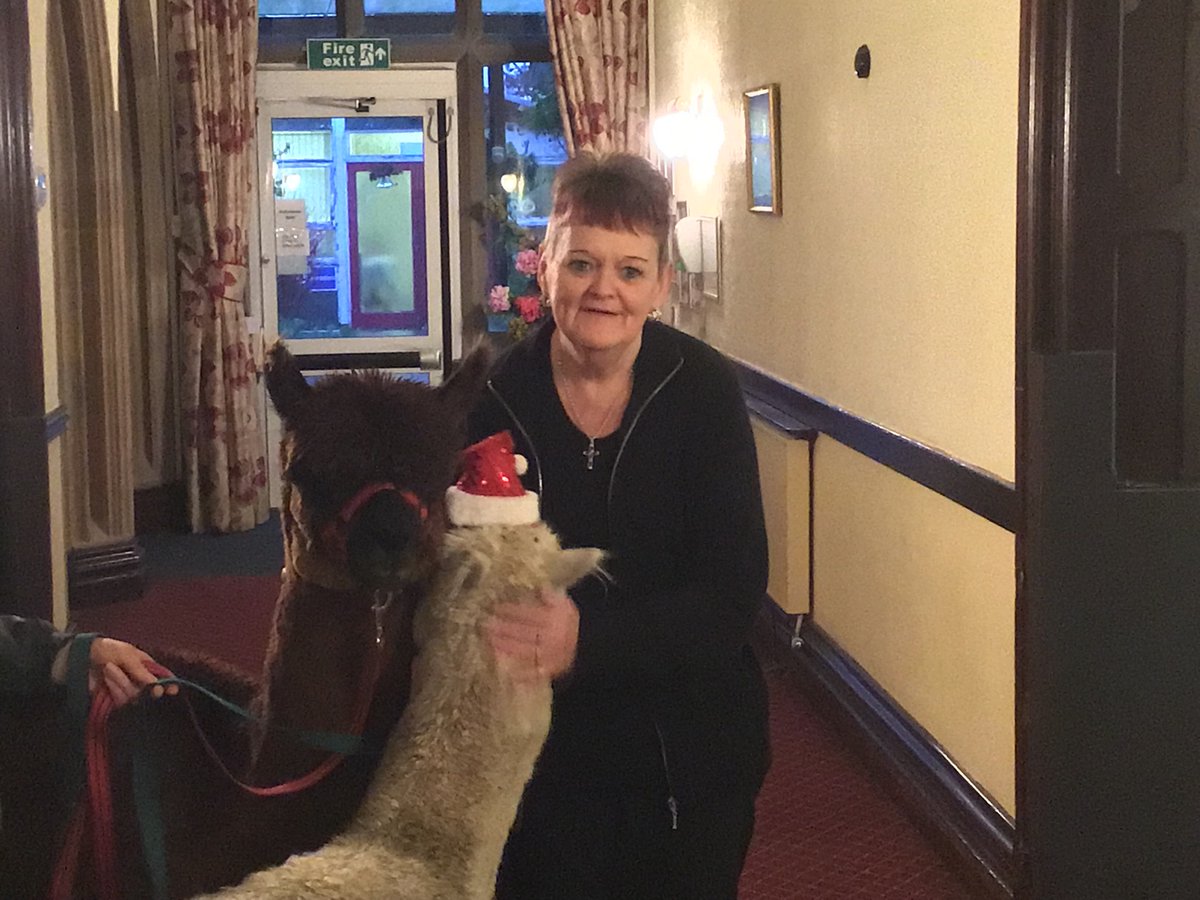 LHolehird's tweet photo. On the 5th of December we had the alpacas come and visit! All the residents and staff really enjoyed the experience and we hope to see them again...🦙🦙 https://t.co/3MrjehVUMr