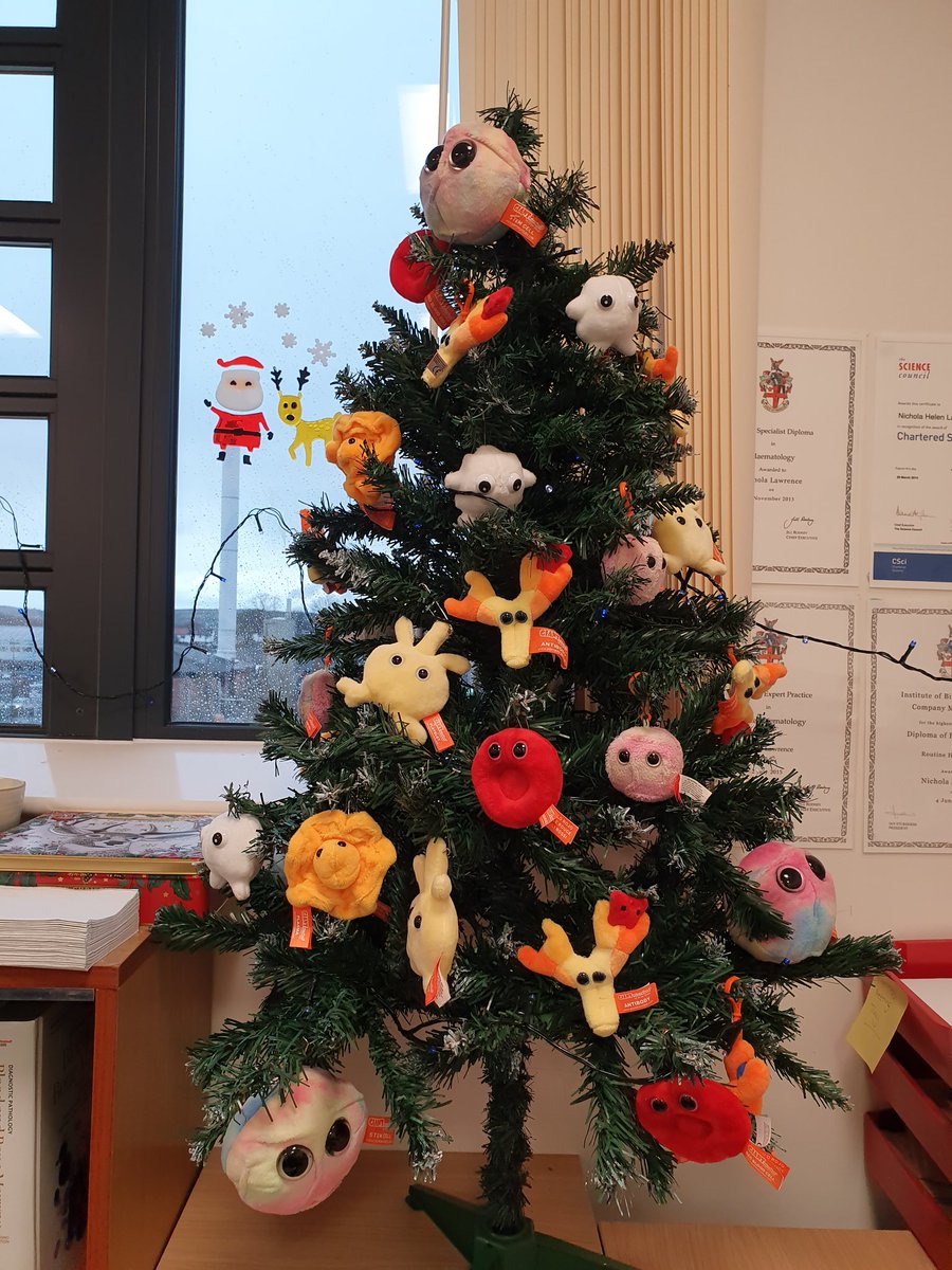 Promyelocyte13's tweet photo. My office #ChristmasTree using an assortment of #giantmicrobes #stemcells #antibodies #redcells #whitecells #platelets #plasma @IBMScience #attheheartofhealthcare #haematology #morphology #Christmas @UHNM_NHS https://t.co/f9y6WBcUBn