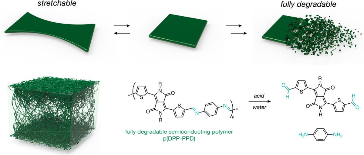 First fully stretchable, degradable #semiconductors for #health diagnostics, monitoring | applysci.com/?p=8037 | #digitalhealth #wearabletech #biosensors