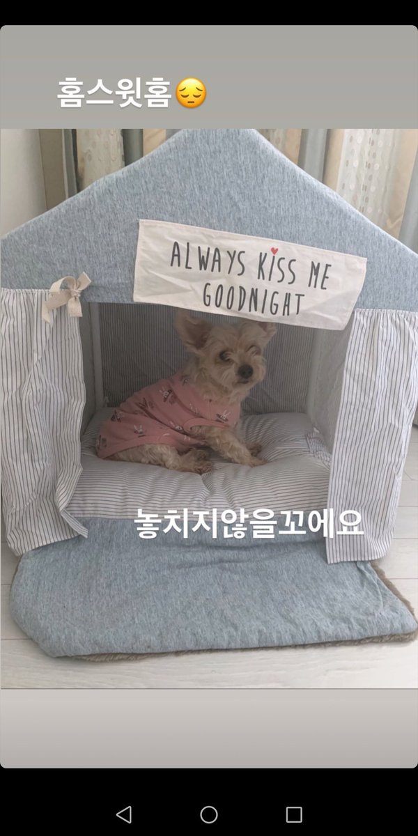 SUHOChile's tweet photo. 191206 Actualización de #Suho en su cuenta oficial de Instagram.

"Hogar dulce hogar 😔. No lo extrañaré"

cr: kimjuncotton
@weareoneEXO #EXO https://t.co/94TlesmW2l
