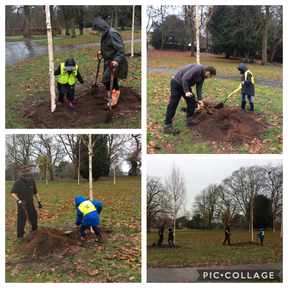 foley_park's tweet photo. Thrive have been tree planting! Some lovely new Silver Birch trees at Brintons Park with Wyre Forest Rangers. Particularly loving the tree dance! Thanks @WyreForestDC @savingtheplanet @onetreeatatime @FoleyPAcademy https://t.co/joit4jn5Ui