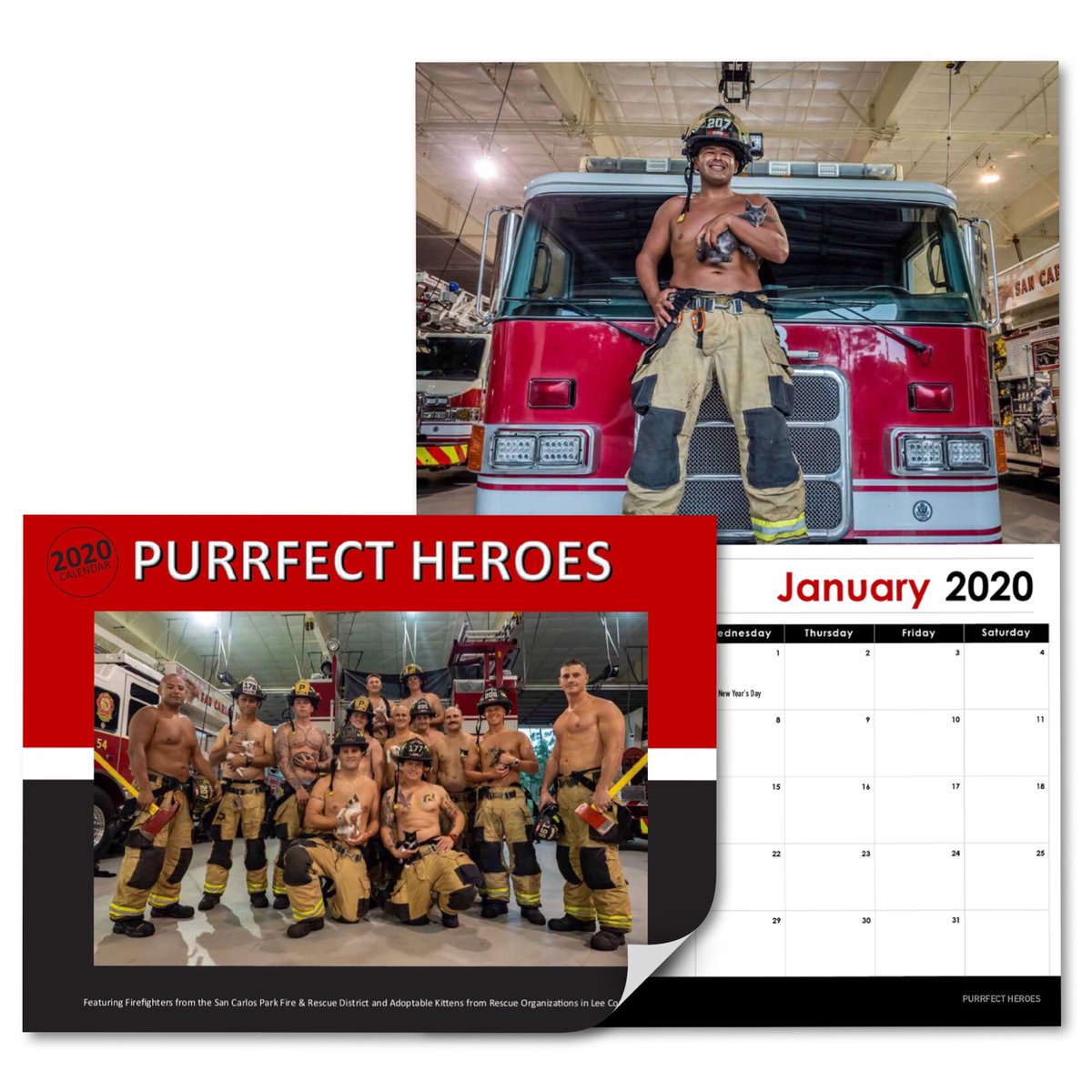 Cattyshack Cat Cafe tweet media