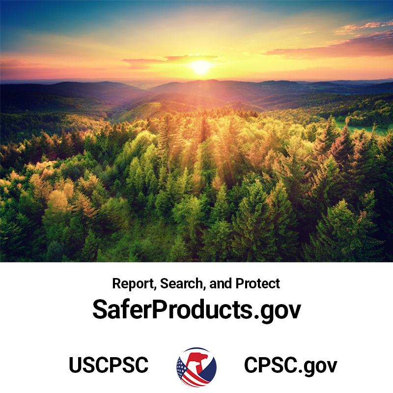 A serene image of a sun rising over a vast forest in the United States.