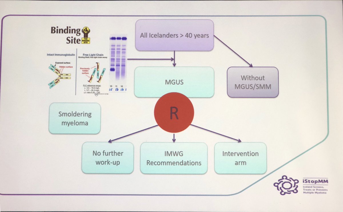 What <a href="/sykristinsson/">Sigurdur Kristinsson</a> has done with the iStopMM trial in Iceland is just astonishing. Over 60,000 persons enrolled in a screening and prevention randomized trial for MGUS. Kudos! #ASH19 
<a href="/IMFmyeloma/">International Myeloma Foundation</a> <a href="/NorthTxMSG/">Yelak Biru</a>