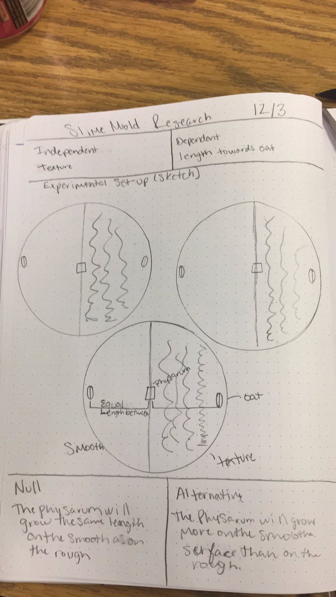 biotaysha's tweet photo. #rhsbms independent research https://t.co/LgMFjkIWte