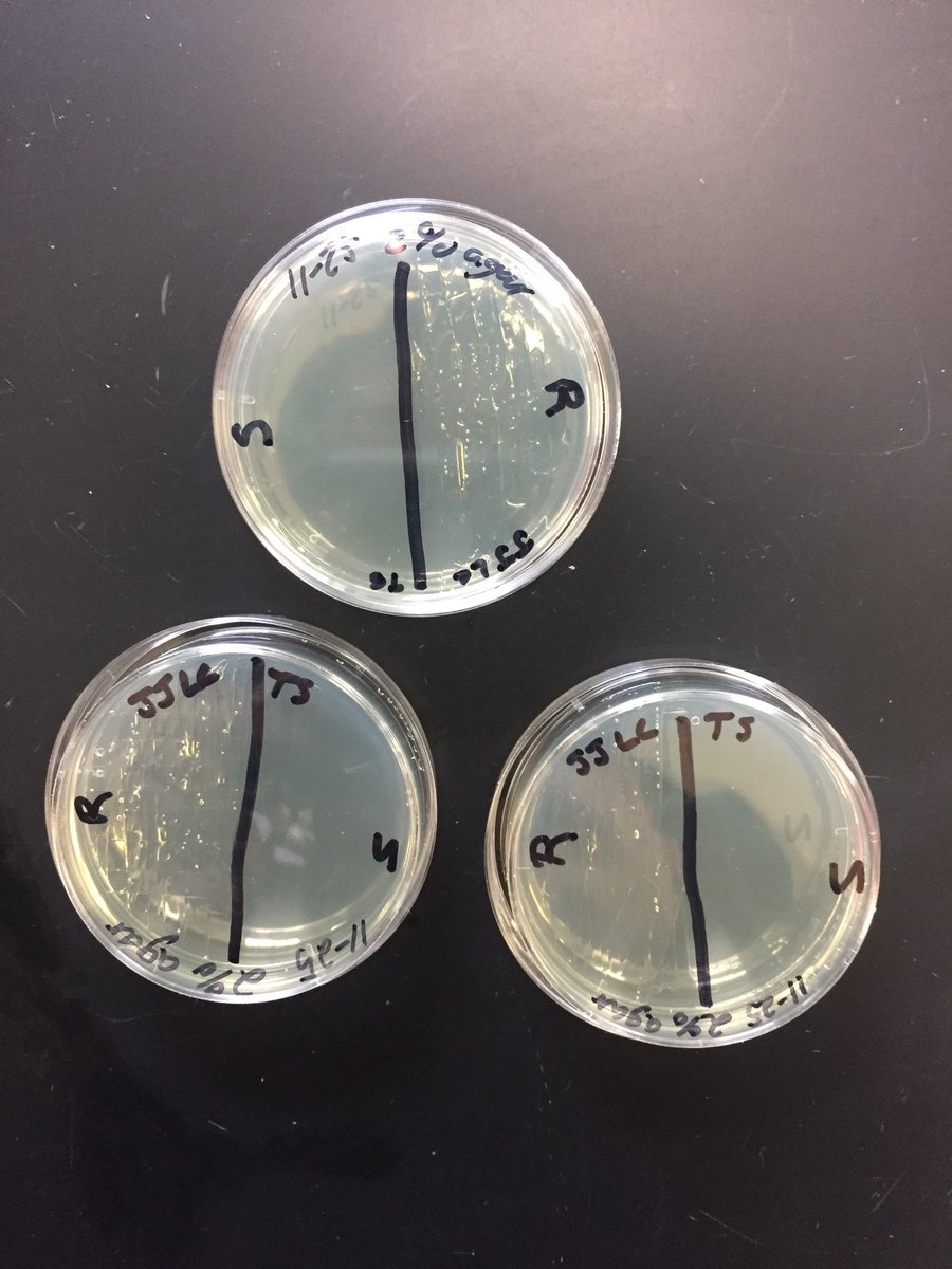 biotaysha's tweet photo. #rhsbms independent research https://t.co/LgMFjkIWte