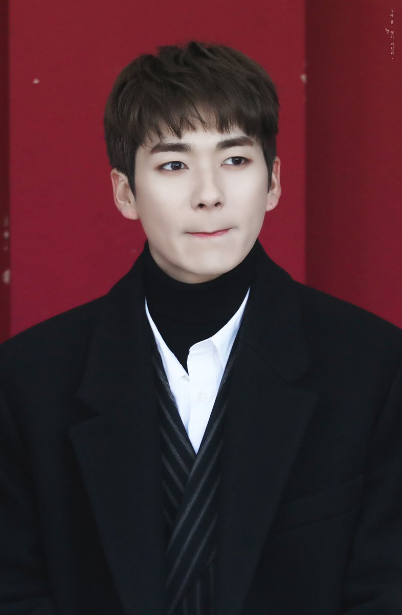 그해 봄, 꽃이 피었다 🦋 tweet media