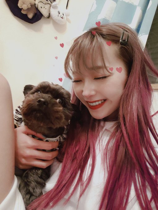 コスプレイヤーmam（まむ）のTwitter画像26